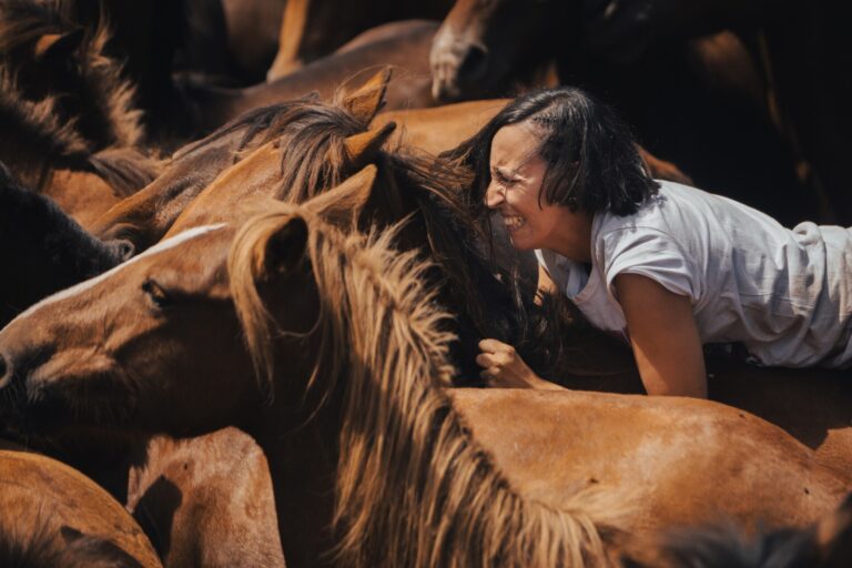 La Rapa das Bestas de Sabucedo ya es Bien de Interés Cultural (BIC)