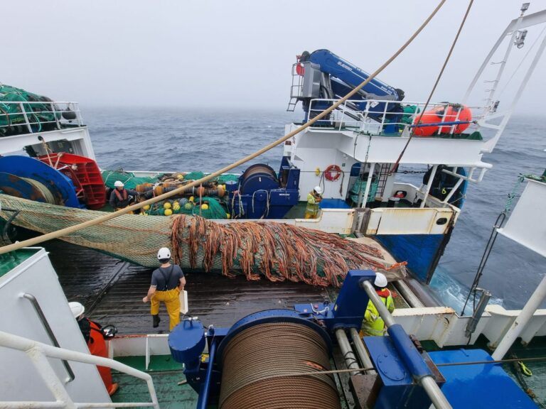 Una campaña del Instituto de Oceanografía estudia los recursos pesqueros de Terranova
