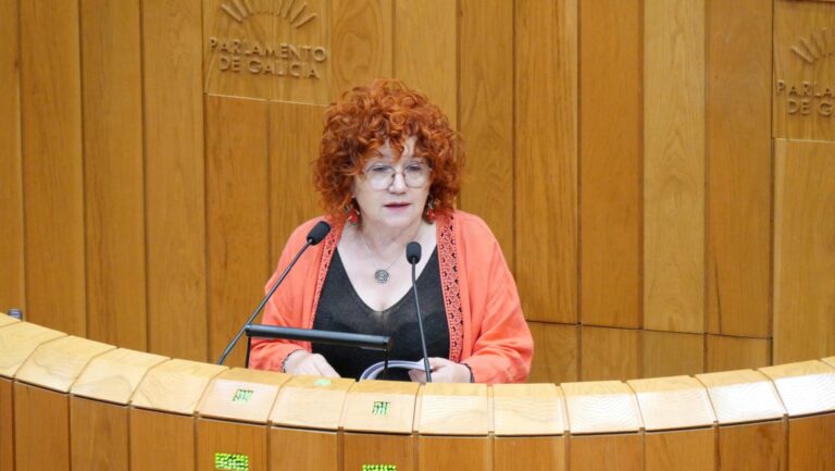 Pleno.-El BNG critica el plan de verano del Sergas y el PPdeG reprocha: «Repite cada año el mismo discurso apocalíptico»