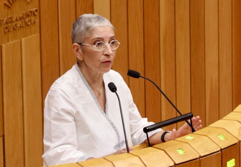 Pleno.- El PSdeG propone un plan para «frenar la desertización» del rural en un contexto de «emergencia demográfica»