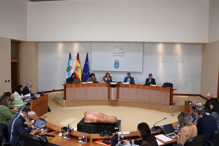 Rural.- El BNG denuncia que el PP elimina «ilegalmente» una pregunta en el Parlamento: «Coartan nuestra labor»