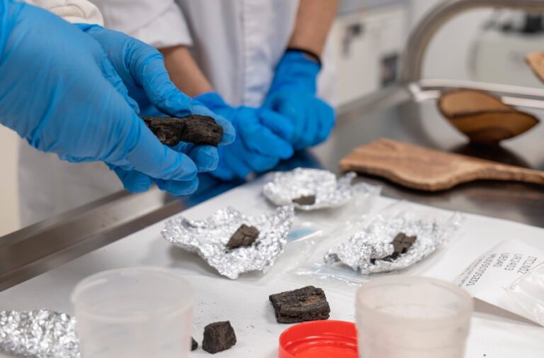 El CSIC avanza en su proyecto ‘PLANTCRAFT’ con la creación de un Laboratorio de Arqueobotánica en Santiago