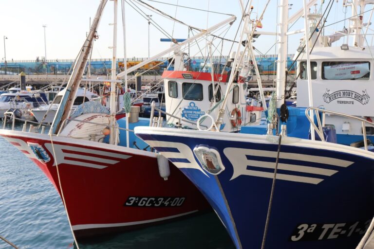 La flota pesquera muestra su «profunda preocupación» por la propuesta de la CE que «margina» al sector