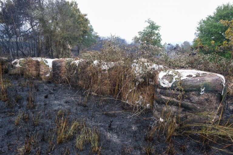 Rural.- Extinguido el incendio forestal de Lalín (Pontevedra) tras quemar 83 hectáreas