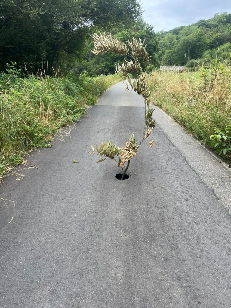 El PP pide el arreglo de dos carreteras de titularidad provincial en Sarria (Lugo)