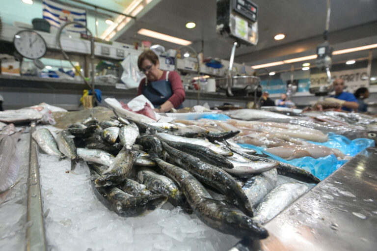Pesca.- El Bono Peixe de la Xunta ya puede descargarse: descuentos del 25%, hasta un máximo de 5 euros por semana