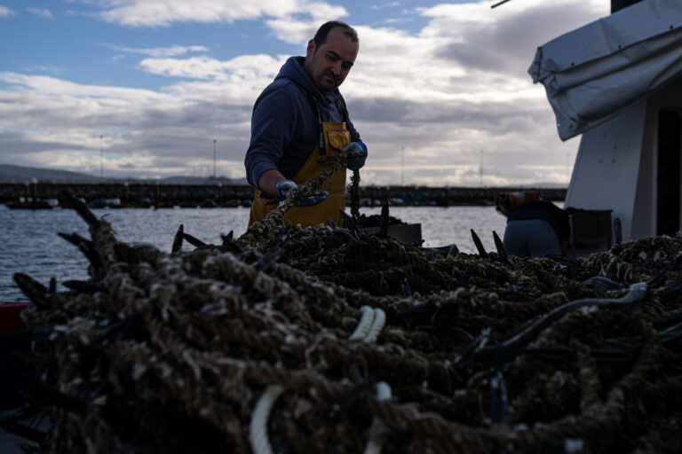 Pesca.- La Consellería do Mar activa una aplicación informática para comunicar la recogida de mejilla