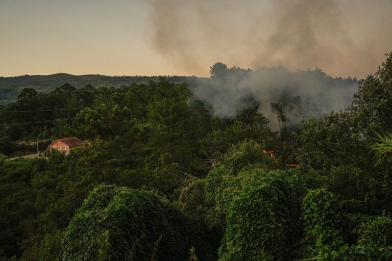 Rural.- Estabilizado el incendio de Carballeda de Avia (Ourense), mientras siguen controlados los de Meaño y Salvaterra
