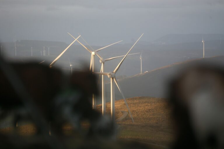 El eólico aplaude el fallo de TJUE como «un antes y después», pero teme que no haya solución «inmediata» para 86 parques