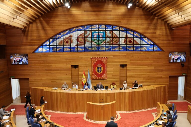 Pleno.- La Cámara muestra su apoyo a la recuperación de frecuencias de tren en A Gudiña y pide «adaptación» de horarios