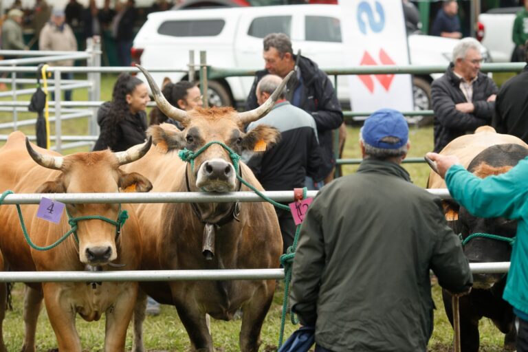 Rural.- Más de una veintena de agricultores y ganaderos gallegos se beneficiarán de ayudas asignadas por el Gobierno