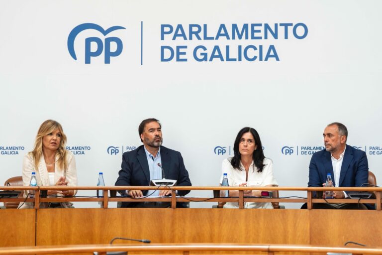 El PPdeG urge al TSXG «retomar la tramitación» de los parques eólicos «paralizados»: «No se puede perder más el tiempo»