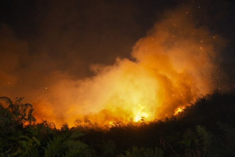 Rural.- El presidente de la Diputación de A Coruña tilda de «terrorismo ambiental» los incendios intencionados