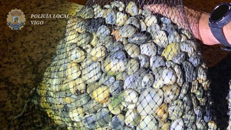 Pesca.- Interceptadas en Vigo cuatro mariscadoras furtivas con más de nueve kilos de almejas y berberechos