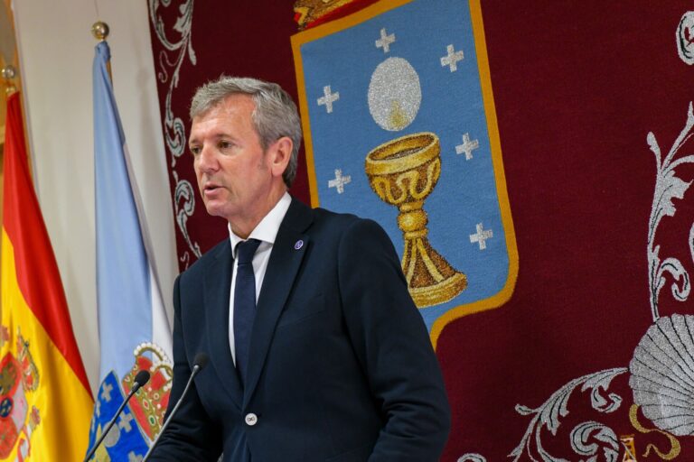 El presidente de la Xunta asegura que en la «inmensa mayoría» de los incendios «están detrás» personas que los provocan