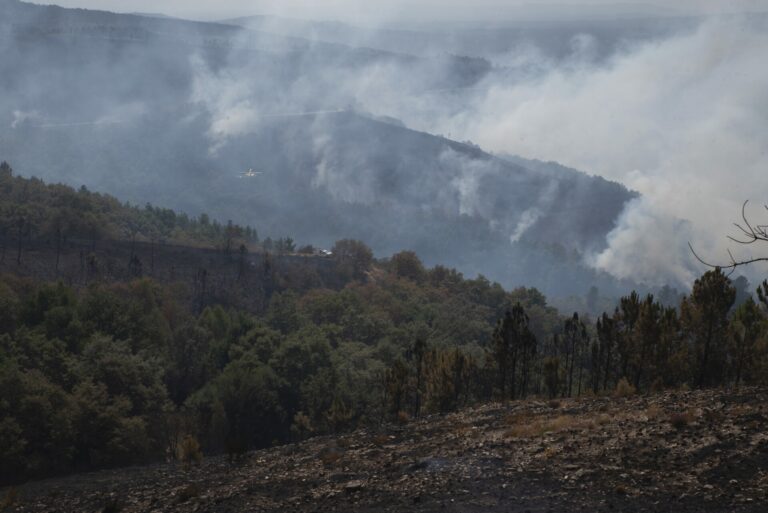 Activos un incendio en Verín, próximo a casas, y uno en Montederramo, que afecta al abedular