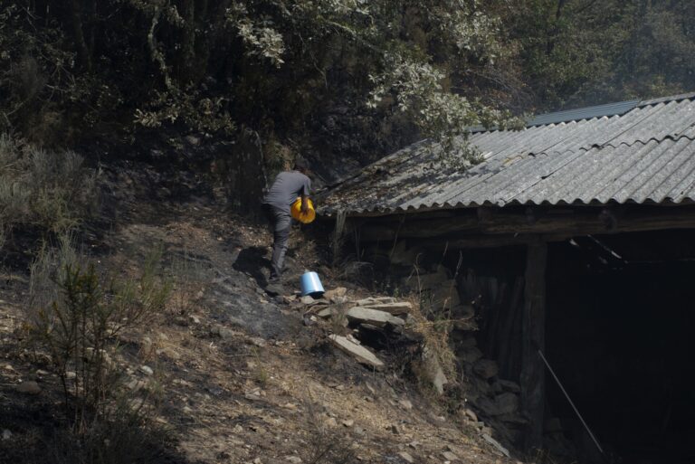 Reactivado el primero de los incendios en Maceda, donde el fuego calcinó un coche de la Xunta esta mañana
