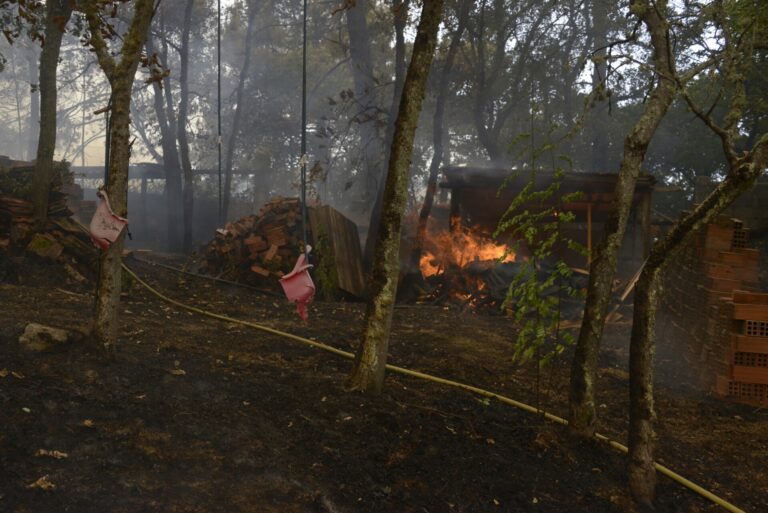 Sumar insta a colaborar entre administraciones y a suspender jornadas laborales si es preciso por los incendios