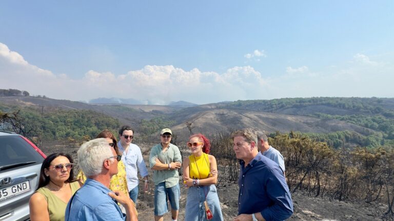 Rural.- Besteiro lamenta en Ourense la «ola de incendios devastadora» y critica la «ausencia de políticas de prevención»