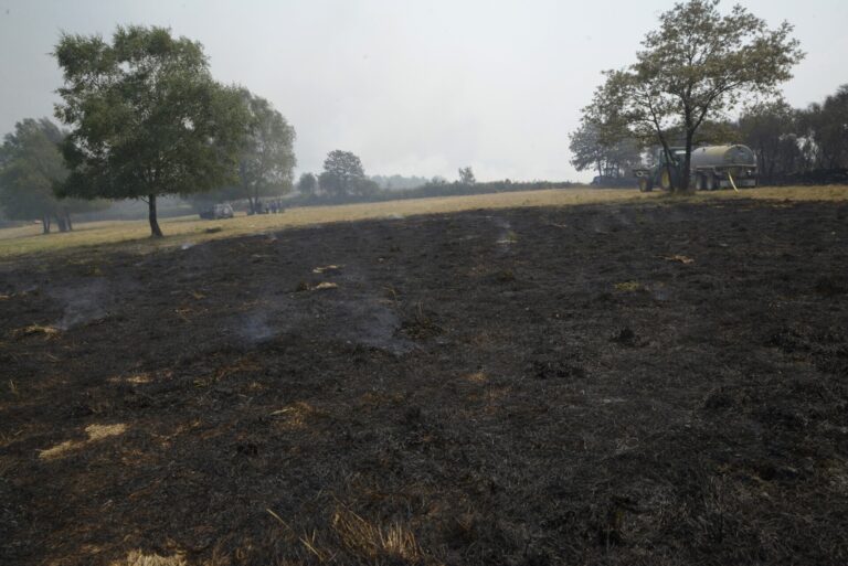 Ascienden a 13.800 las hectáreas calcinadas por la oleada de incendios que asola Galicia