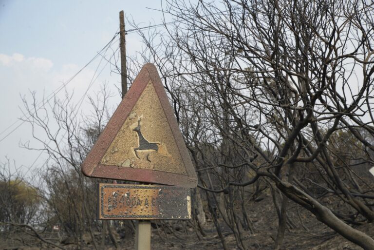 Cortada la circulación ferroviaria en A Mezquita y las carreteras N-525 y A-52 por los incendios de Ourense