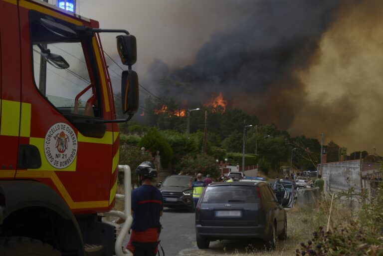 Rural.- Adega insta a la Xunta a promover una nueva política forestal adaptada al cambio climático