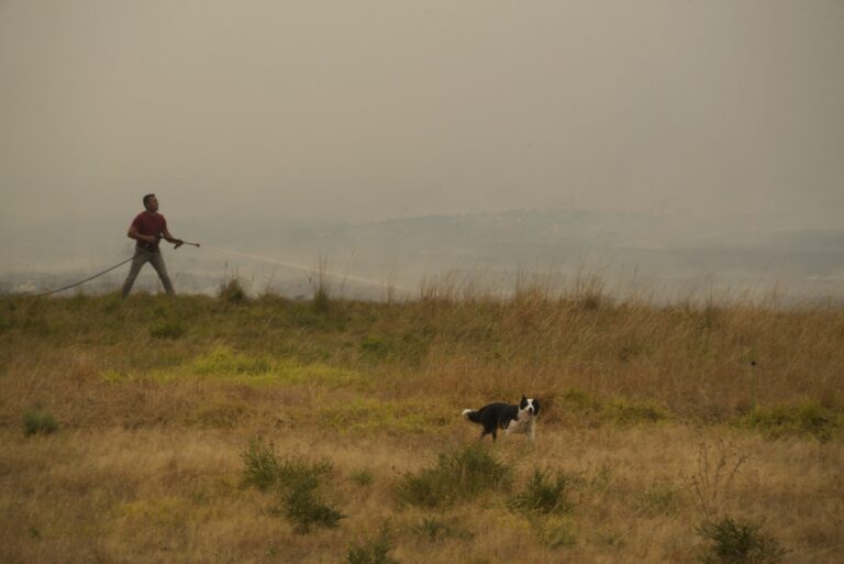 Rural.- Efectivos de la Brilat se suman a las tareas de apoyo para la extinción de incendios
