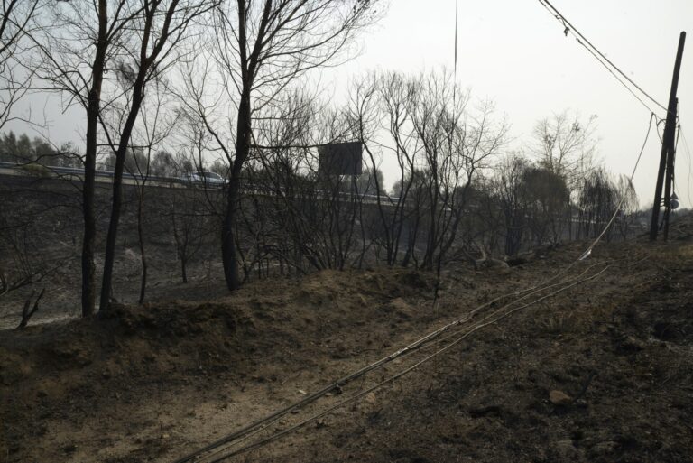 Rural.- Galicia registra 14 incendios activos, con más de 46.000 hectáreas quemadas solo en la provincia de Ourense
