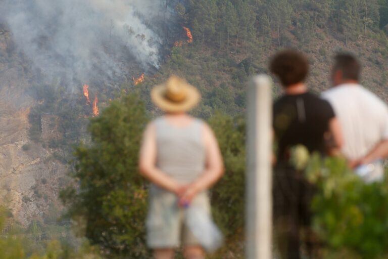 Rural.- Galicia encara otra semana con la ola de incendios activa, que afecta ya a casi unas 63.000 hectáreas