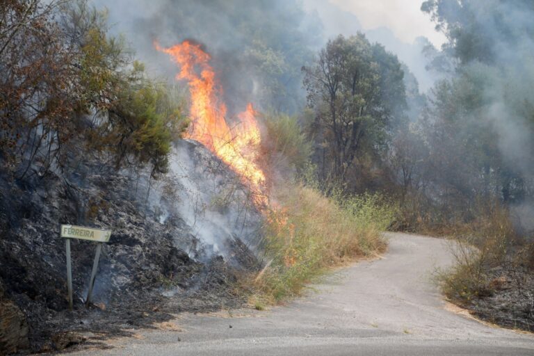 Rural.- El Gobierno refuerza el dispositivo anti incendios en Galicia con 200 militares