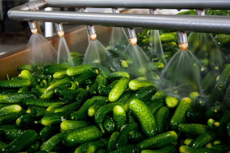 Crecen en junio un 2,3% las exportaciones gallegas y descienden un 0,3% las importaciones