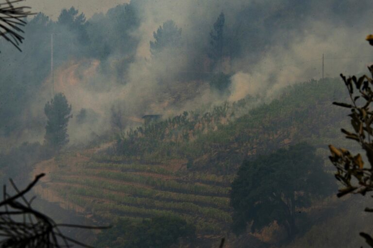 Rural.- De ropa ignífuga a mascarillas FFP3: Ourense se moviliza para llevar material a afectados por incendios