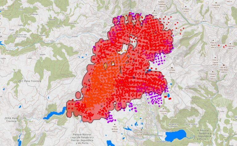 Rural.- Vecinos logran frenar el fuego que entró a Ourense por Zamora y proteger un bosque de tejos centenarios