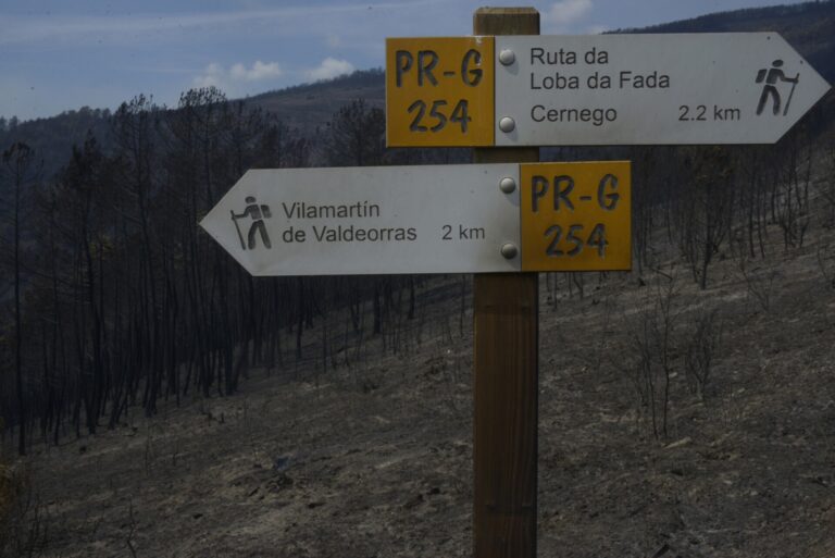 Rural.- Galicia no registra nuevas evacuaciones y confinamientos, con carreteras principales abiertas