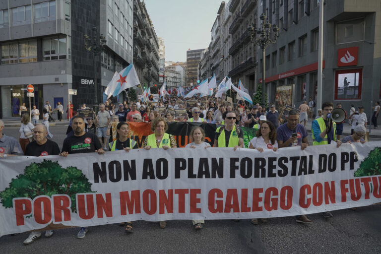 Rural.- Miles de manifestantes reclaman en toda Galicia un «monte libre de incendios» y piden la «dimisión» de Rueda