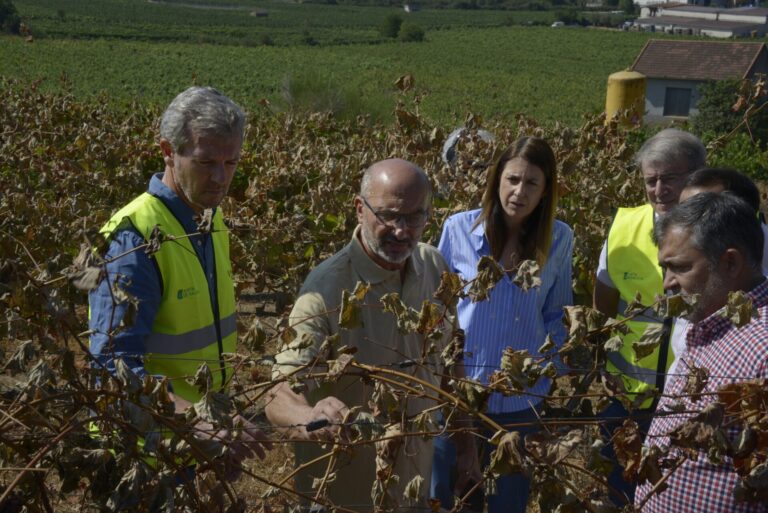 Rural.- Rueda, tras las concentraciones por los fuegos: «Algunos estuvieron de vacaciones como si no hubiera incendios»