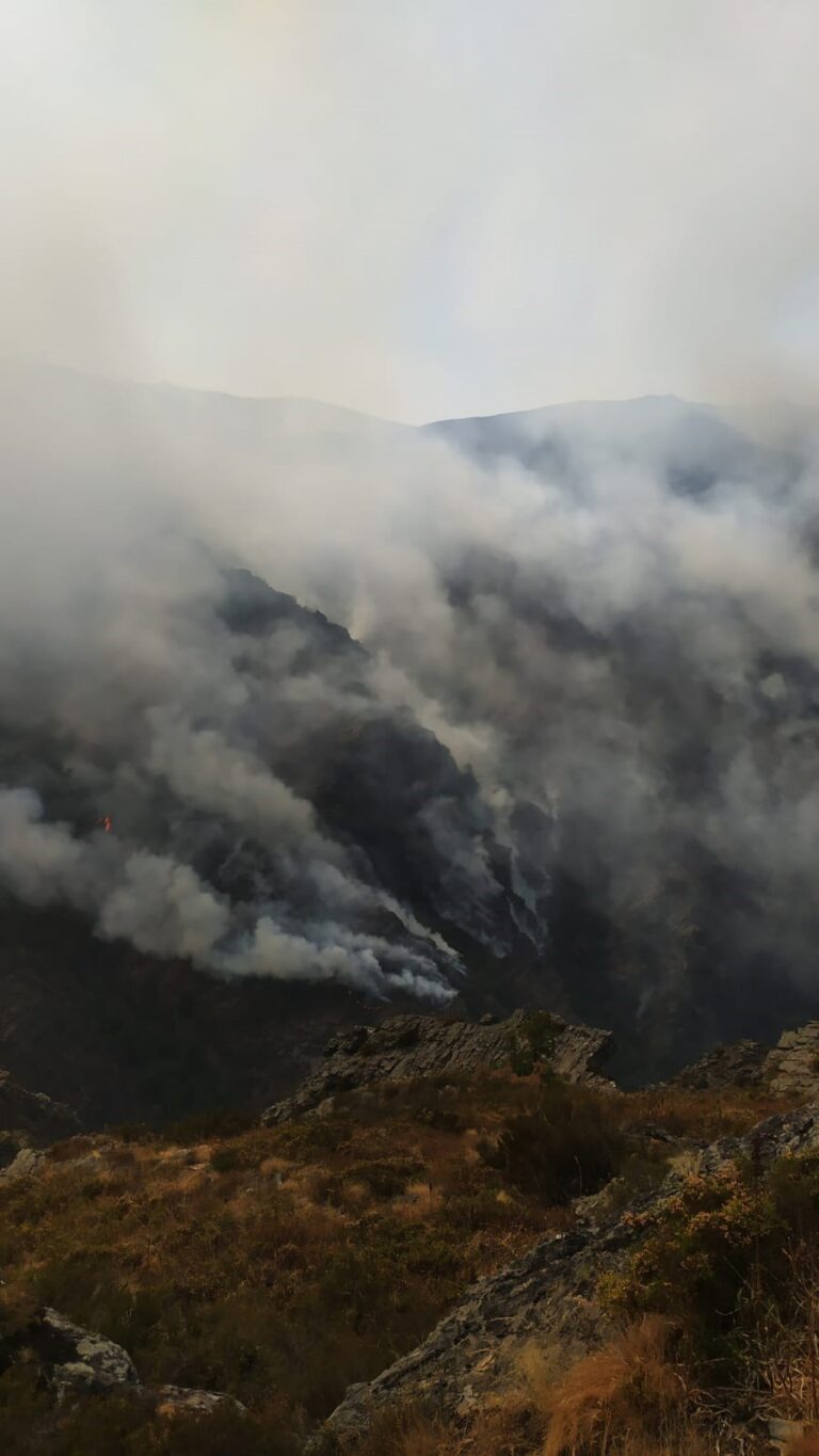 Rural.- Casaio sigue en alerta por el fuego, con jornadas «infinitas» de vecinos y daño a su biodiversidad