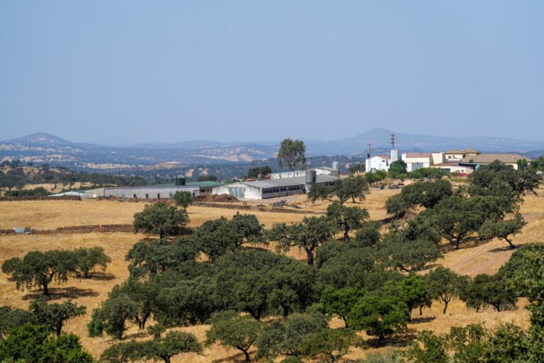 PSOE pide que las CCAA «complementen» las inversiones del Estado para fomentar el comercio electrónico en el medio rural