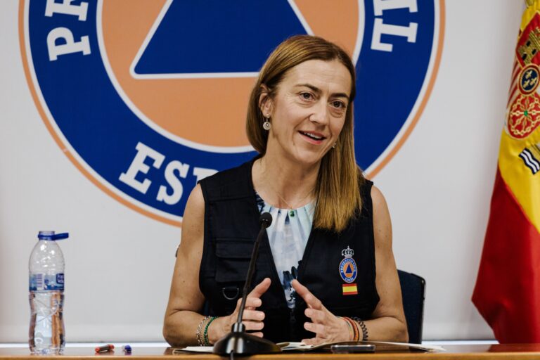 Barcones afirma que ninguna comunidad autónoma ha pedido al Gobierno decretar la emergencia nacional por los incendios