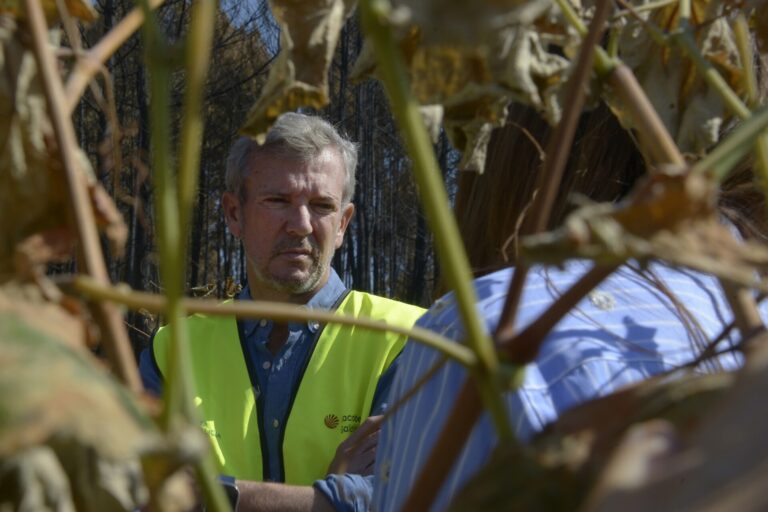 Rural.- Rueda insta a la oposición a «ser constructiva» en vez de «dar datos falseados»: «No busquemos más tensión»