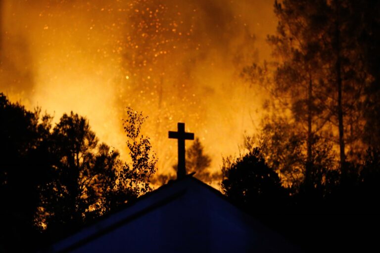 Rural.- El CSIC da apoyo científico-técnico en las zonas afectadas por los incendios forestales