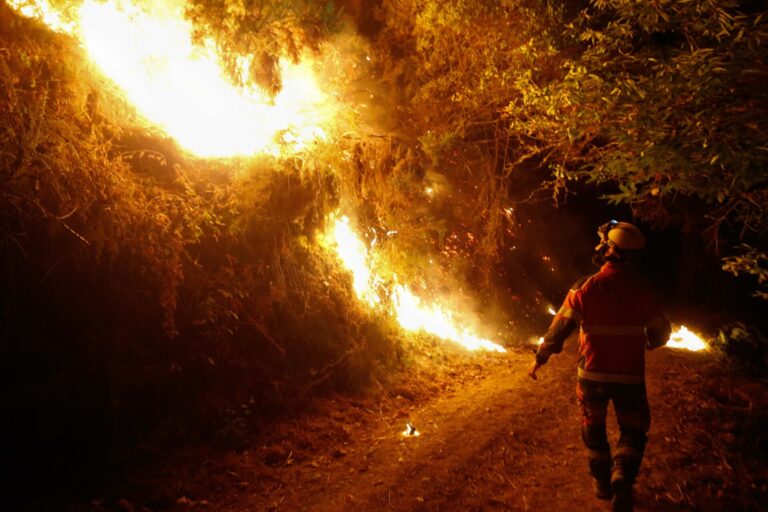 Rural.- Sindicatos piden ceses en la Consellería de Medio Rural por la «nefasta» gestión de la ola de incendios