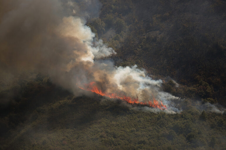 Rural.- El Pleno de la Diputación de Ourense debatirá sobre las consecuencias de los incendios a petición de PSdeG y BNG