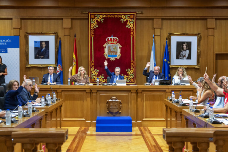 Pleno extraordinario tenso en la Diputación de Ourense que abre camino a una mesa de trabajo conjunta post incendios