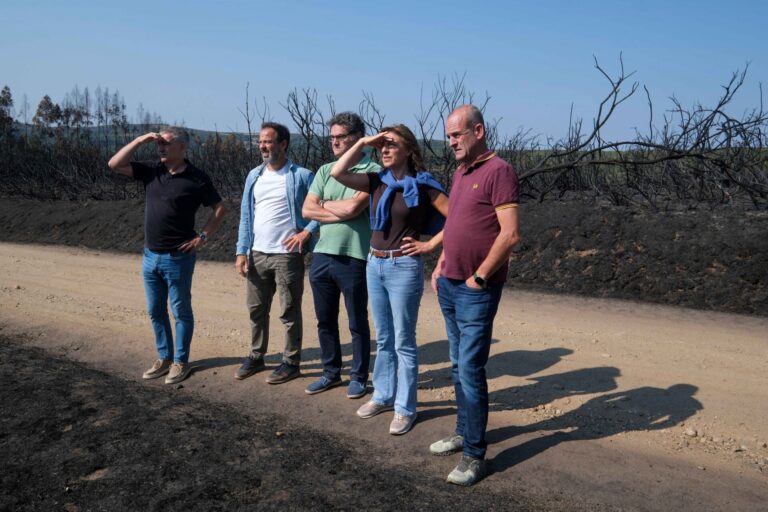 Rural. – Adega critica que la conselleira de Medio Ambiente considere el monte gallego «como un gran Tecor»