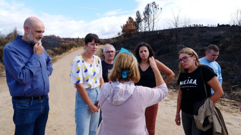 Pontón pide la dimisión de Rueda por su gestión de los incendios: «Es parte del problema; no puede ser de la solución»