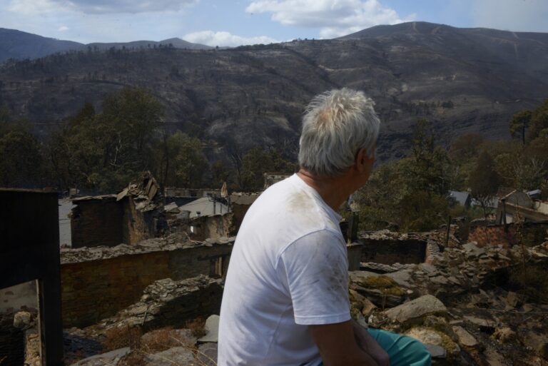 Expertos avisan de la importancia de gestionar el monte: «Un bosque que no huele a madera, olerá a humo»