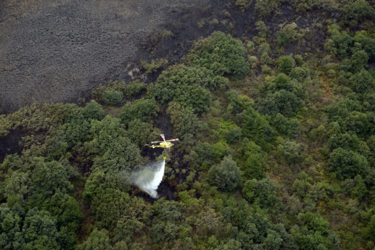 Rural.- La alcaldesa de Carballeda de Valdeorras asegura que «todos los datos apuntan» a que el fuego fue provocado