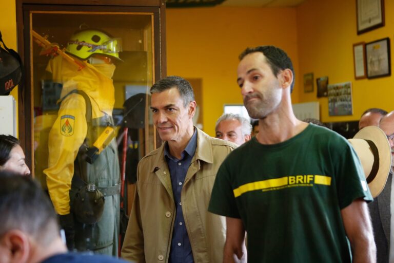 Rural.- Sánchez apuesta por actuar «a escala forestal, no personal» ante los incendios: «No ideologicemos esta materia»