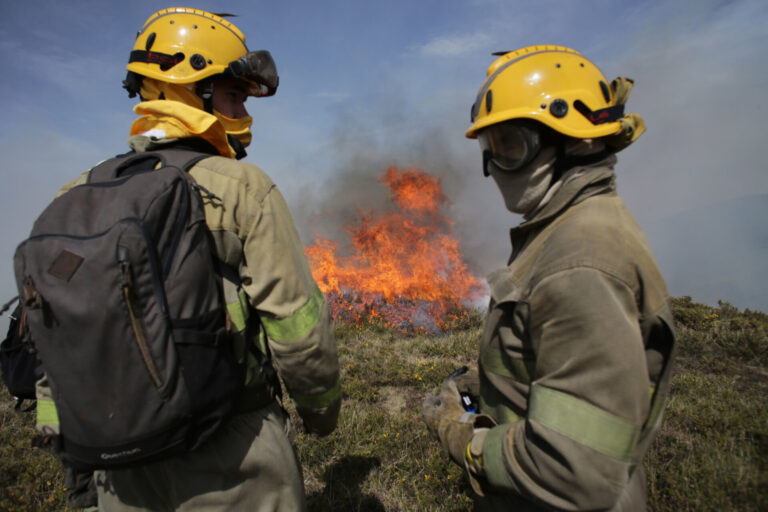 Rueda fija en 120.000 las hectáreas calcinadas en agosto en Galicia: 69% de monte raso y 31% de bosque arbolado